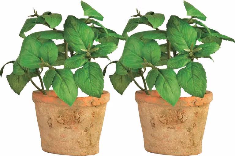 True to Nature Kunstbasilicum in oude terracotta pot, 2 stuks
