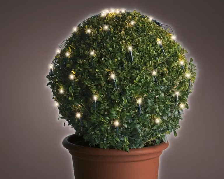 Lumineo Led net buxus verlichting met 120 lampjes, Diameter: 80 cm