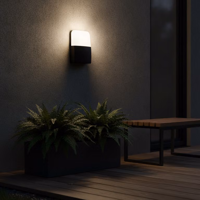 Lyora Wandlamp Droplet zwart met LED warm wit licht