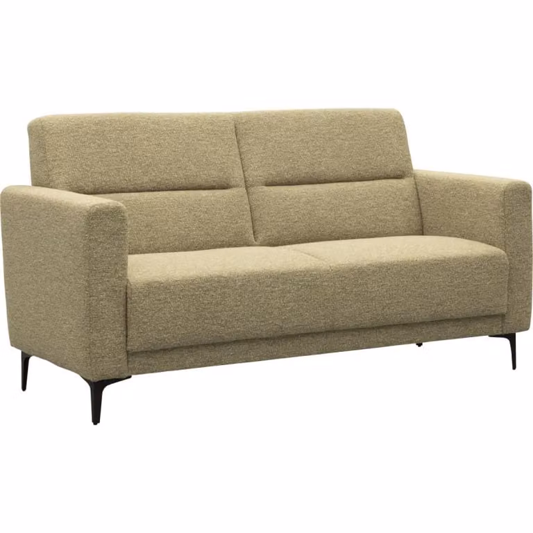 Budget Home Store Cushio Moderne 2,5 zits bank met verstelbare rugleuning
