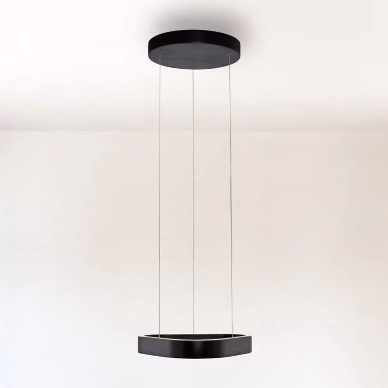 Paul Neuhaus Hanglamp Ring LED Zwart Modern Dimbaar