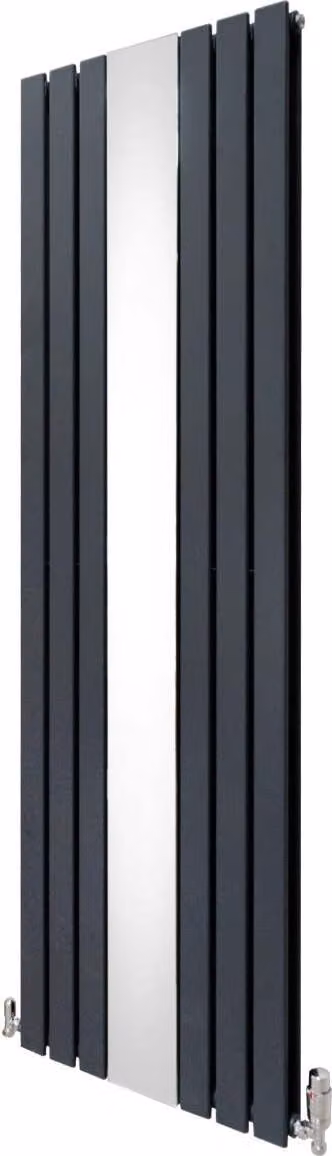 Anthracietgrijze radiator met spiegel en chroomkleurige thermostaatkranen, B: 565 mm, H: 1800 mm