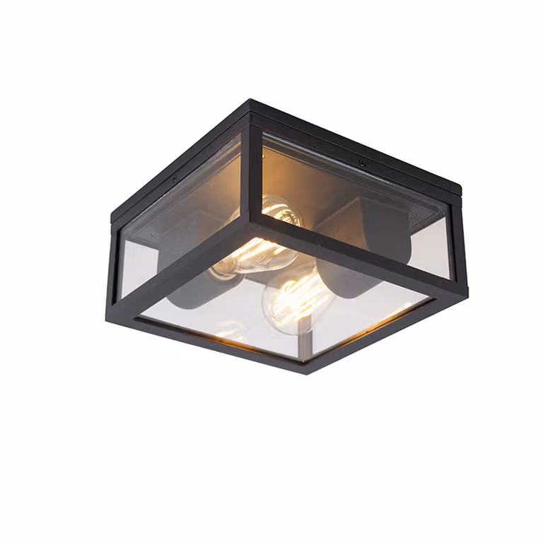 Qazqa Industriële Plafondlamp Zwart IP44 - 2-Lichts - Aluminium en Glas