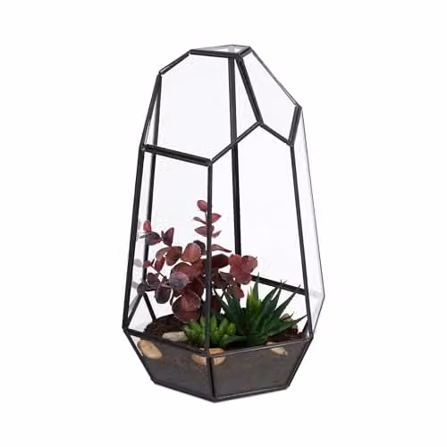 Relaxdays Planten terrarium geometrisch zwart van glas en metaal