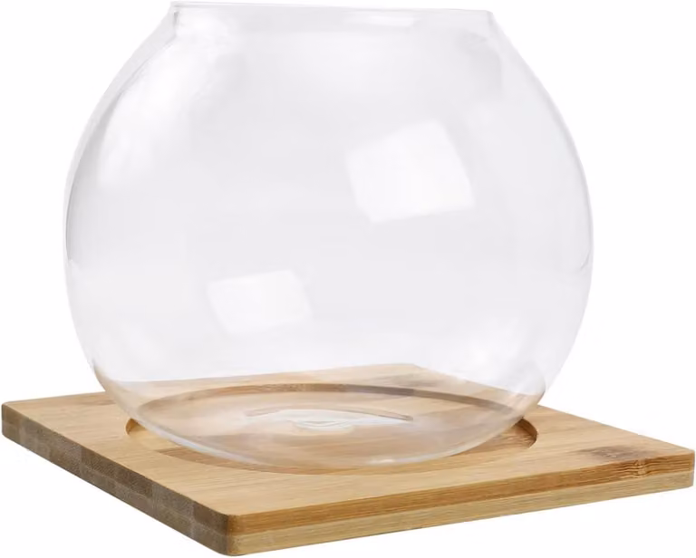 Transparante Glazen Hydroponische Fles voor Decoratieve Planten en Micro Landschappen - B/D/H: 1 x 1 x 1 cm