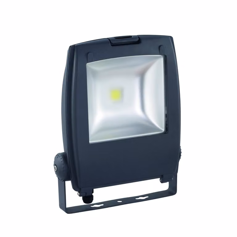 Eglo Gambettola Pro LED Schijnwerper 45W grijs