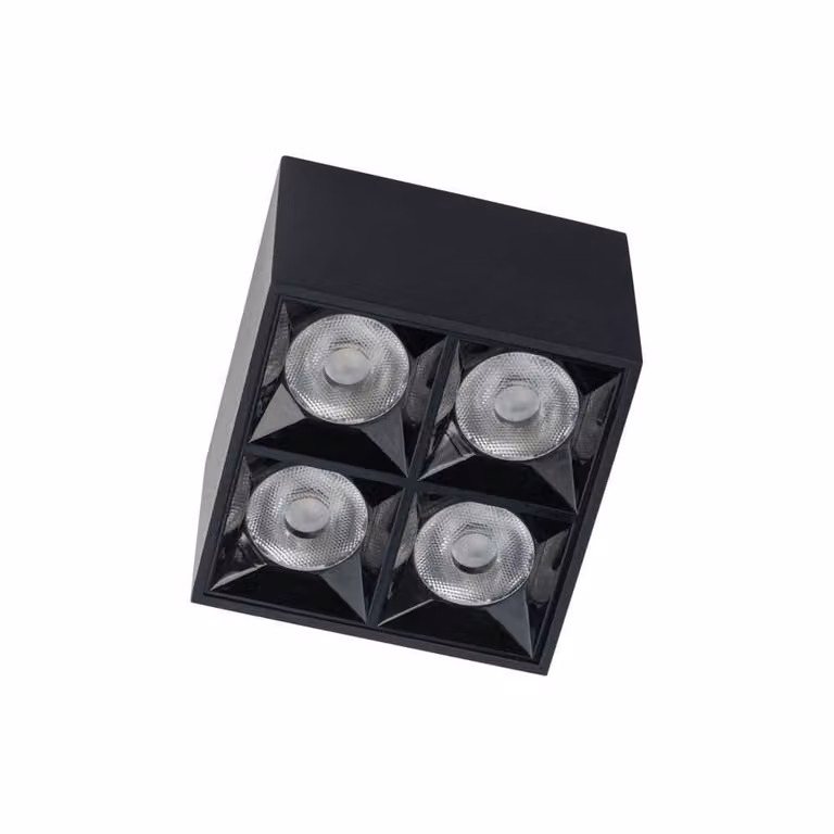 Lyora Zwarte opbouwspot Midi Led 2x2 4000K
