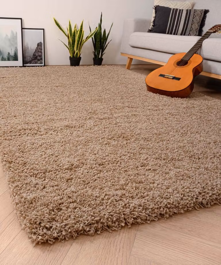Tapeso Shaggy Grand hoogpolig vloerkleed beige B: 280 cm, D: 380 cm