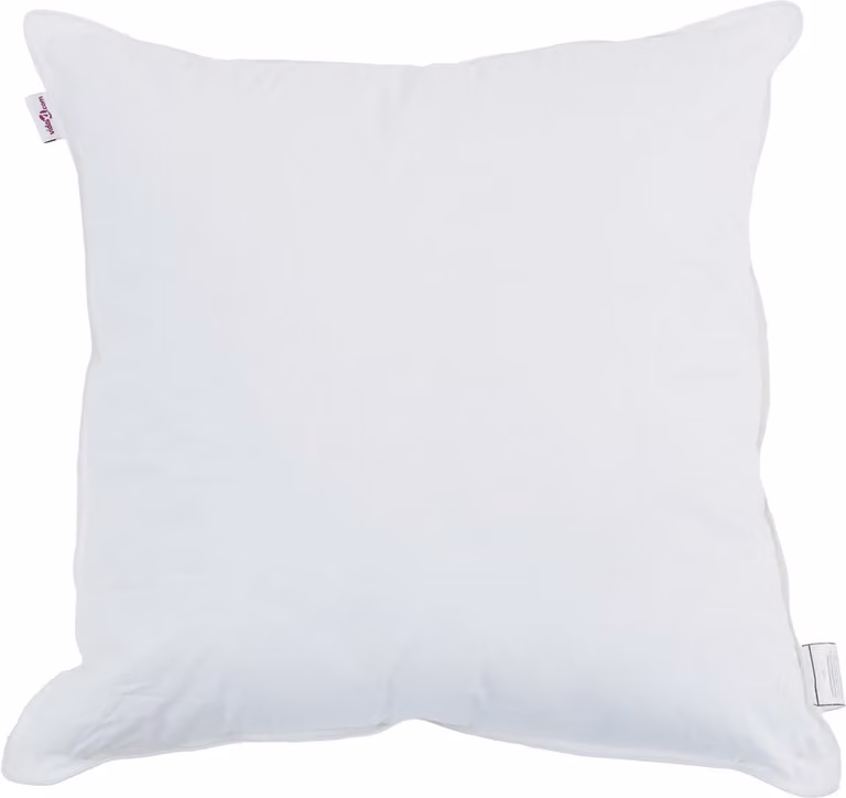 vidaXL Hoofdkussens 2 stuks - Wit - Katoen - 60 x 60 cm