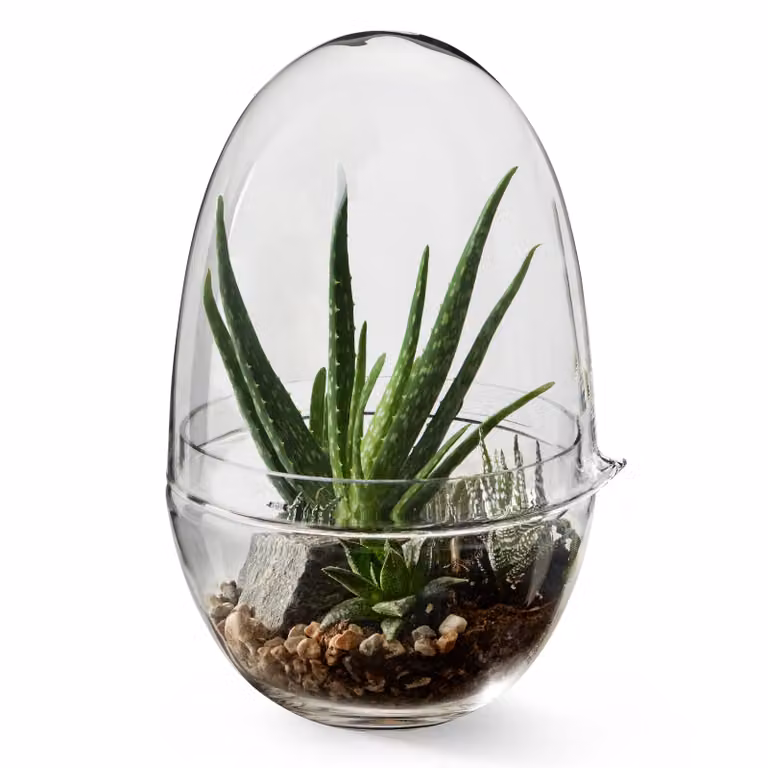 Design House Stockholm Grow kas x-large tabletop Ø20 cm