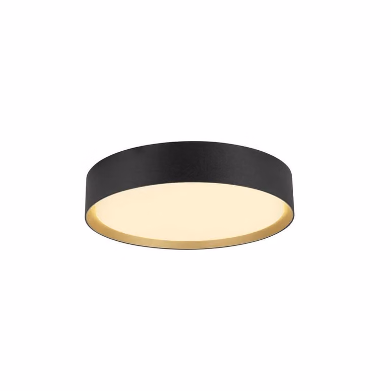 Decona Plafondlamp Modern Zwart-Goud Dimbaar voor Badkamer Ø 30 cm