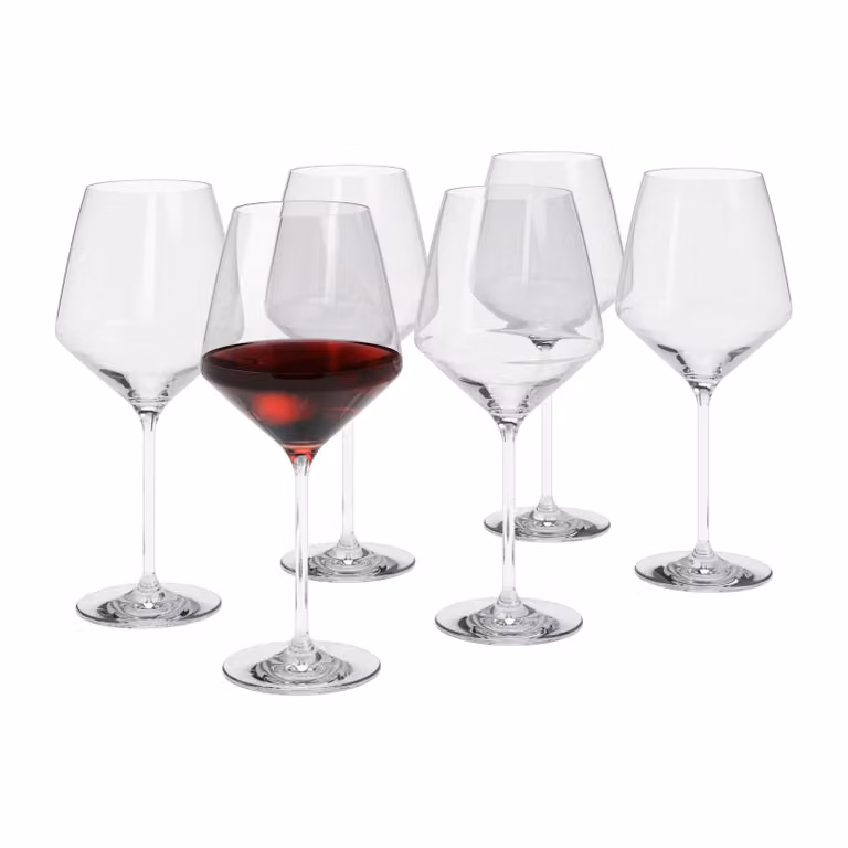 Eva Solo Legio Nova bourgogne wijnglas 6-pack, 65 cl