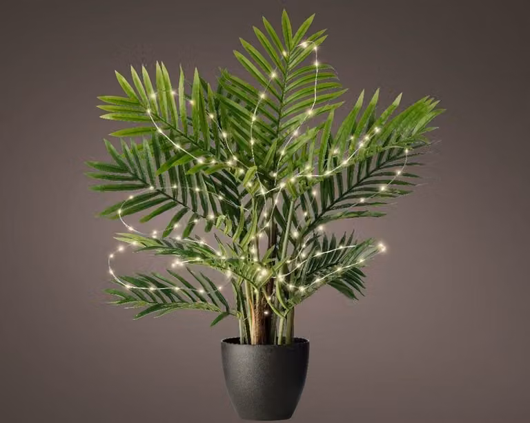 Lumineo Microled plantverlichting warm wit met 40 lampjes