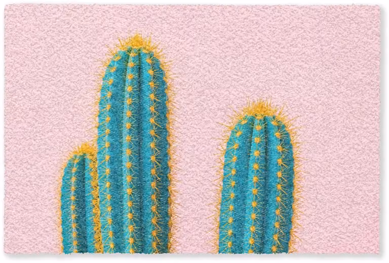 MuchoWow Deurmat Cactussen - Modern Pastel - Droogloopmat voor binnen - 90 x 60 cm