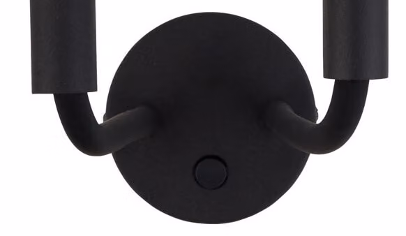 Lyora Stalactite zwarte wandlamp met 2 LED-lichten