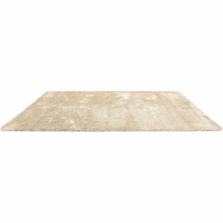 Vloerkleed Atlanta van Budget Home Store in polyester