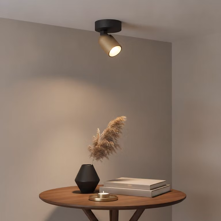 Artdelight Plafondlamp Houston Modern Zwart en Goud/Messing met Dimbare LED