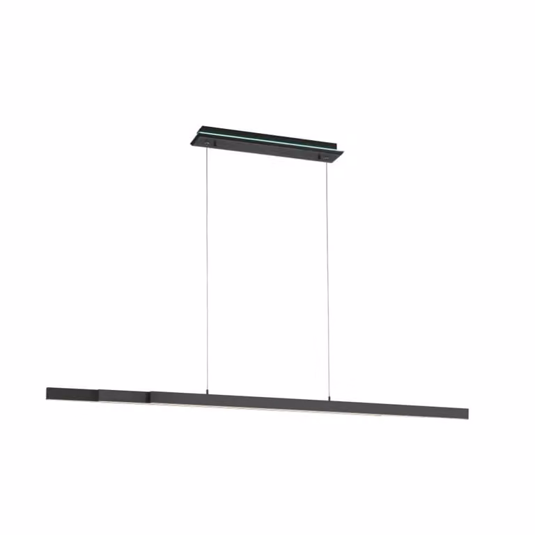 Paul Neuhaus Q-Arian moderne slimme hanglamp zwart met LED en Zigbee