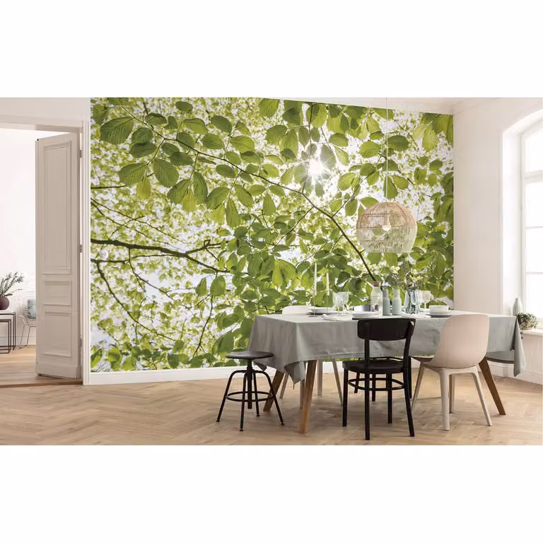 home24 Fotobehang In het Lentewoud, Groen, Textiel, 450 cm