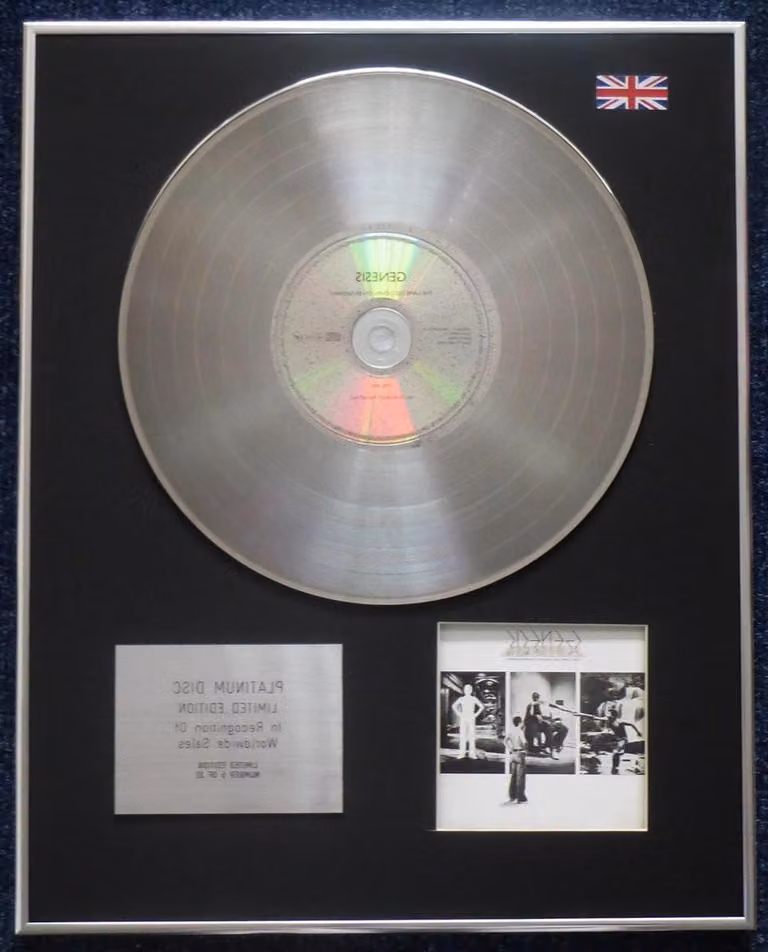 Limited Edition CD Platinum LP Muurdecoratie Zilver - 50 x 40 cm