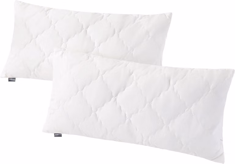 Set van 2 hypoallergene en antibacteriële bamboevezel hoofdkussens voor volwassenen, 40 x 80 cm, Öko-Tex gecertificeerd