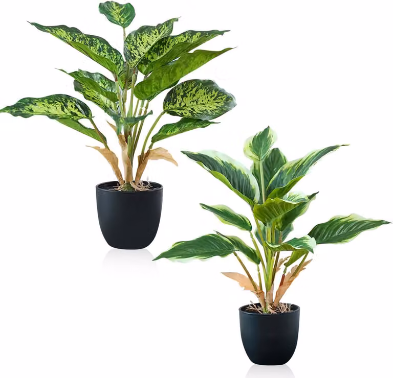 SnelShoppen Set van 2 Monstera Kunstplanten met Pot, Gevlekt en Geel Omrand, 37 cm