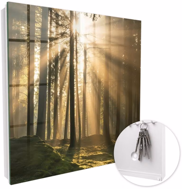 Coloray Sleutelbox met 50 haken en glazen deuren - Linksopenend - Wit interieur - B/D/H: 30 x 30 x 5 cm