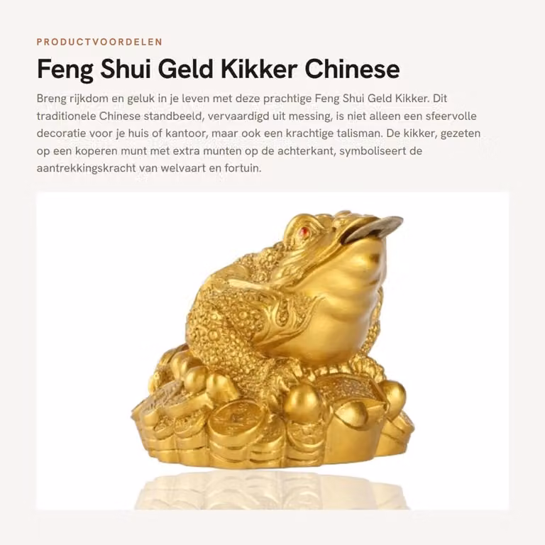 Dailygoods Geldkikker Rijkdom en Geluk - Messing Feng Shui Standbeeld met Chinese Munt