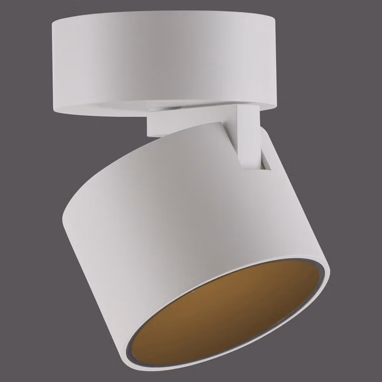 Paul Neuhaus Pure Cup LED opbouwspot, wit, Ø 9,5 cm