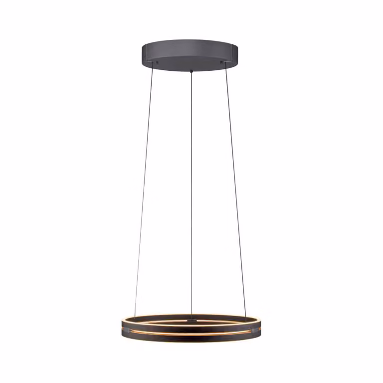 Paul Neuhaus Pure E-Loop moderne hanglamp zwart