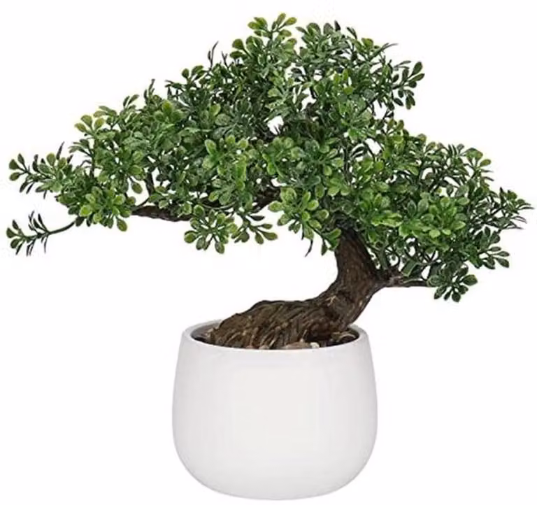 Kunst Bonsai in Keramische Potten - Decoratieve Planten voor Huis en Kantoor