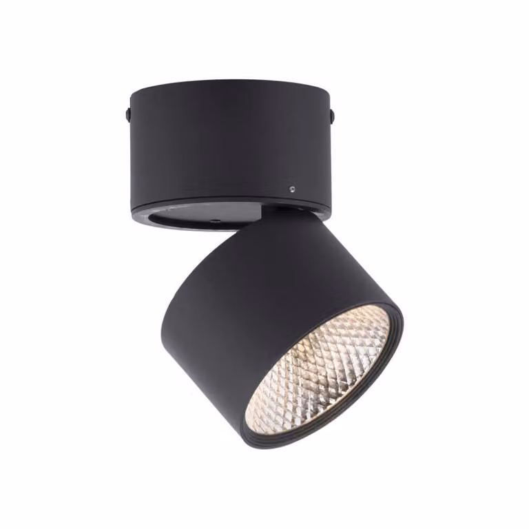 Paul Neuhaus Pure Nola LED opbouwspot, zwart, dimbaar, metaal