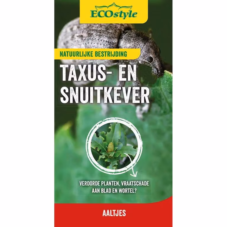 Ecostyle aaltjes tegen larven van de taxuskever voor 500 m²