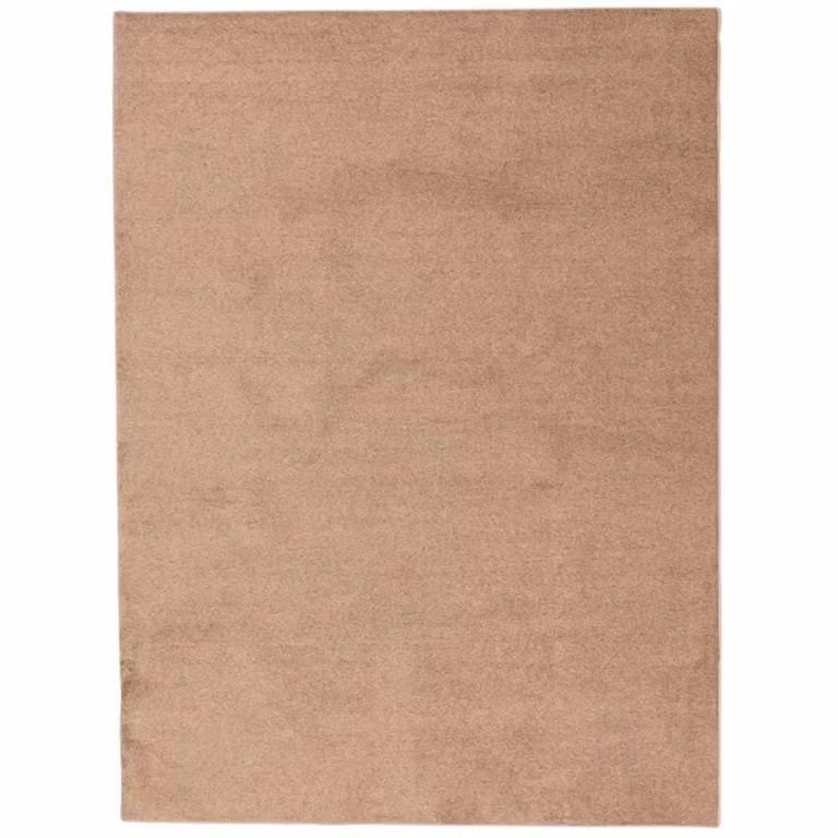 Vloerkleed Salsa lichtbruin rechthoekig 200 x 300 cm