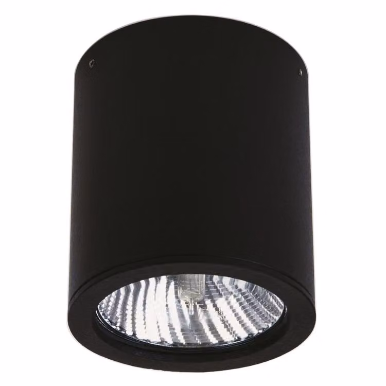 Albert Cylinder Opbouwspots voor buiten plafond zwart