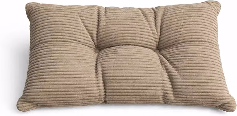 Beige Tuinkussen voor rug en lounge - Extra dik comfort - B/D/H: 50 x 40 x 10 cm