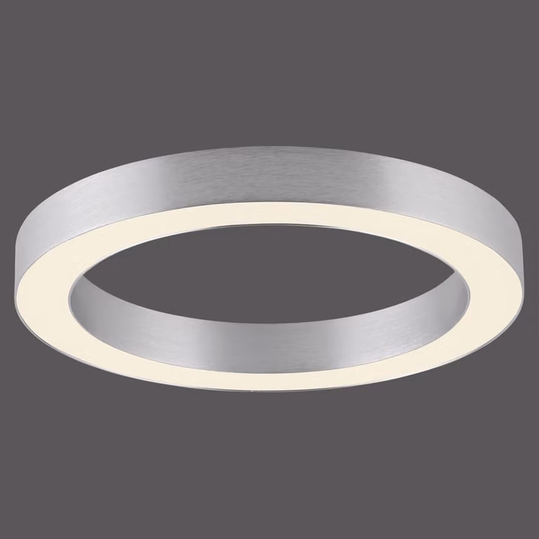 Paul Neuhaus Pure Lines Round LED plafondlamp - Zilver/Grijs - Ø 35 cm
