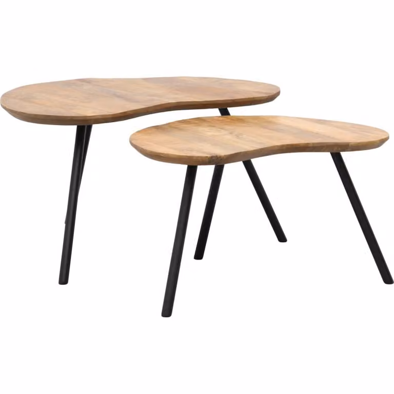 Salontafel Alex set van 2 van Budget Home Store