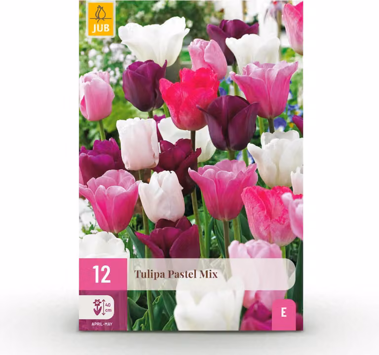 Multideal Tulp Pastel mix bloembollen - 12 stuks - Diverse kleuren