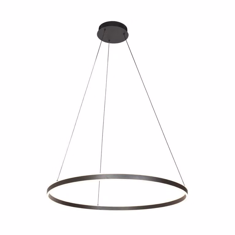 Steinhauer Design hanglamp Ringlux zwart met LED-module Ø 80cm