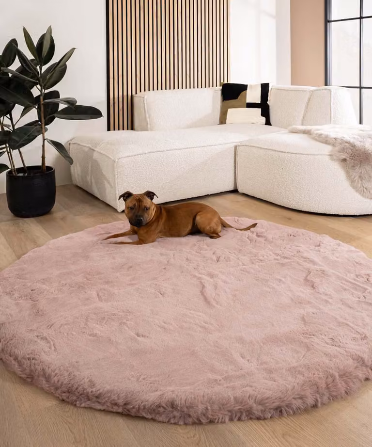 Tapeso Fluffy rond vloerkleed - Roze - Diameter: 50 cm