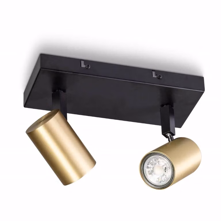 ETH The Common 2-lichts plafondspot zwart met goud