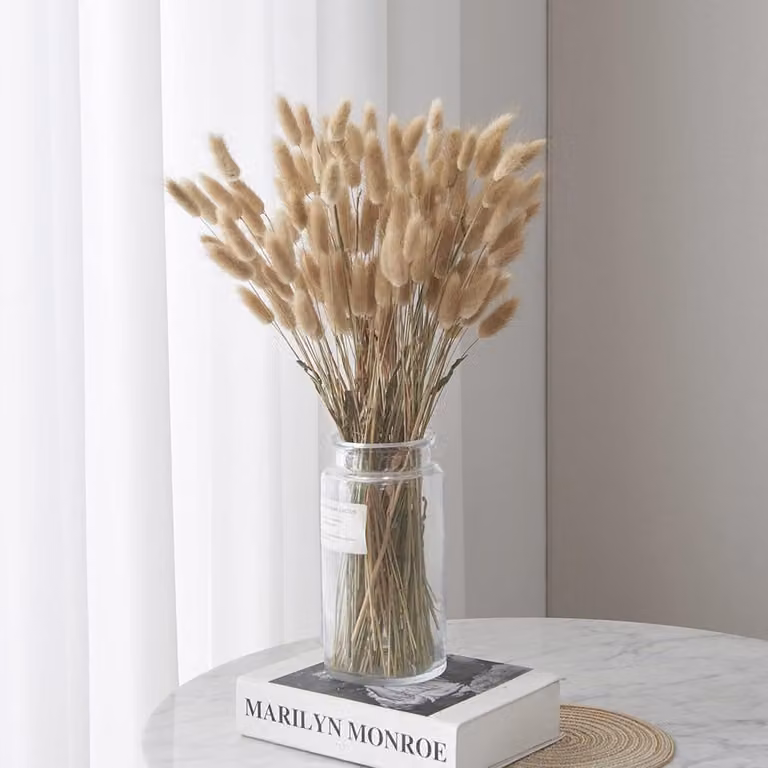 Gedroogde Pampas Grassen Boeket - 60 Stuks Natuurlijke Droogbloemen voor Boho Interieur Decoratie