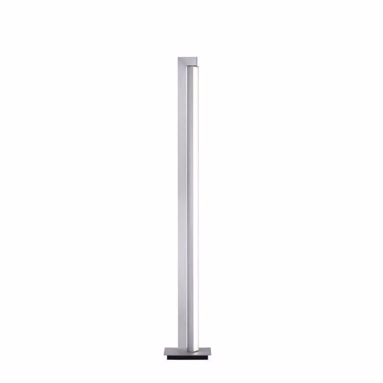Paul Neuhaus Lines Floor LED vloerlamp, zilver, Hoogte: 140 cm, dimbaar met afstandsbediening