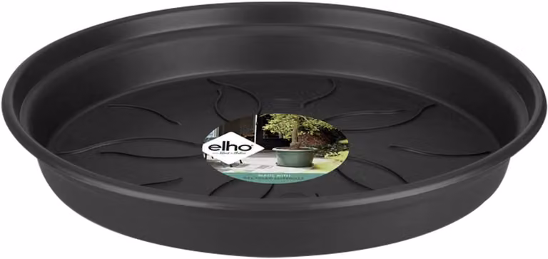 Elho Green Basics Schotel 22 Living Black - Schotel voor binnen en buiten - Ø 21.5 x H 3.2 cm