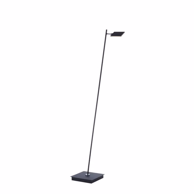 Paul Neuhaus Pure Mira LED vloerlamp zwart met afstandsbediening en dimfunctie - H 129 cm, B 46 cm, D 35 cm