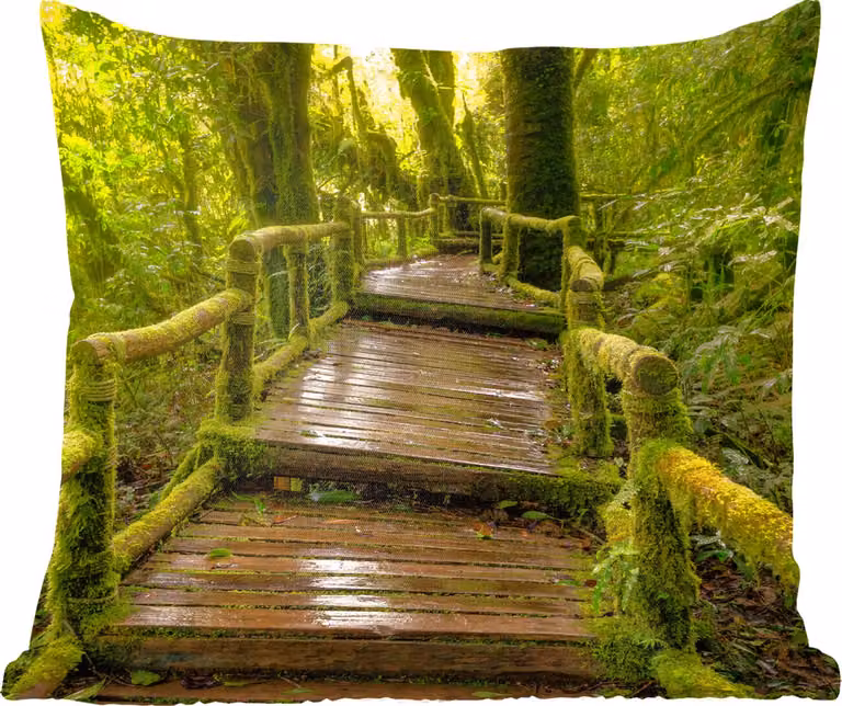 Sierkussen met regenwoud en jungle print, 45 x 45 cm